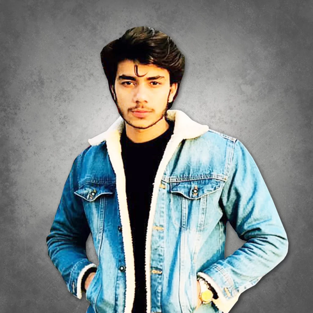 Ali Hassan Sales Executive